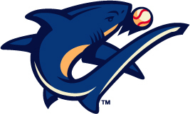 CAPLOGO_ CAPLOGO_